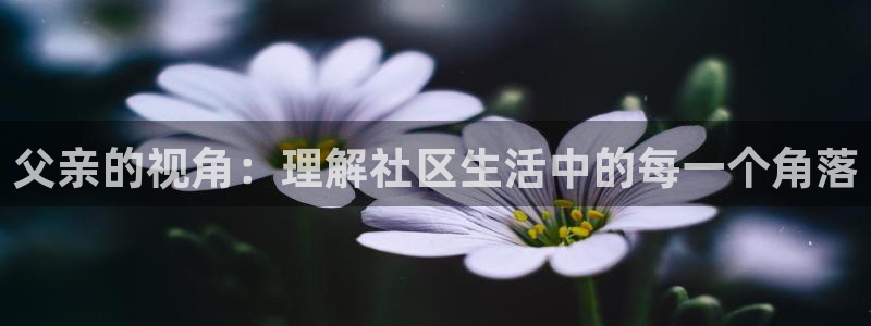 hj7a4海角社区：父亲的视角：理解社区生活中的每一个角落