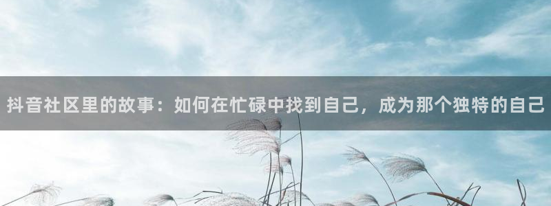 索海角社区：抖音社区里的故事：如何在忙碌中找到自己，成为那个独特的自己