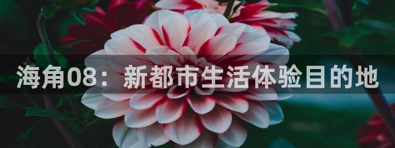 海角社区 日销:海角08:新都市生活体验目的地