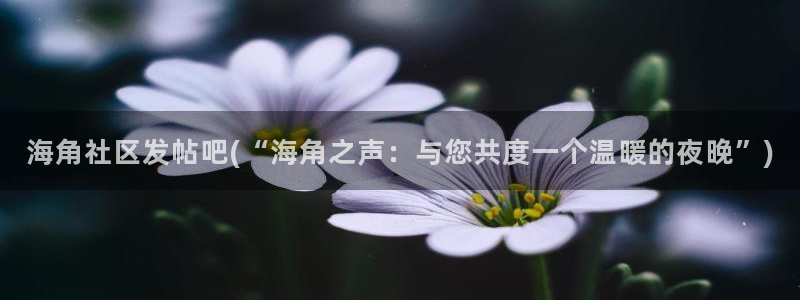 海角社区网页版下载