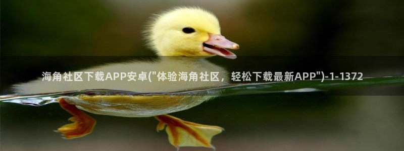 海角社区安卓APP