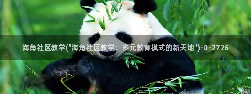 海角社区破解版网址