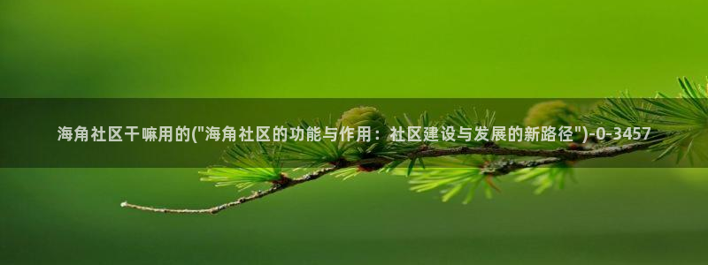 海角是什么意思社区