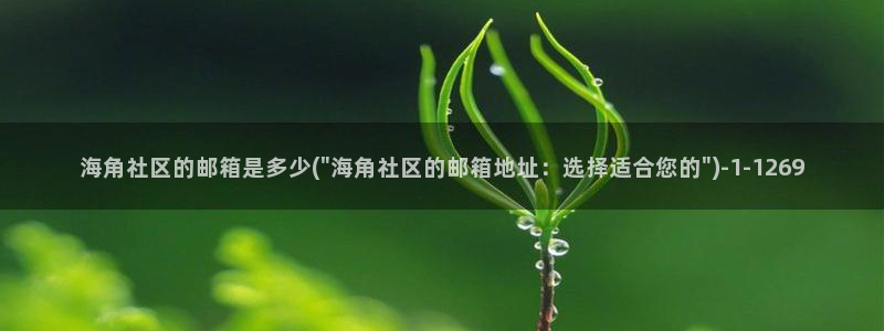 海角社区女优:海角社区的邮箱是多少(\